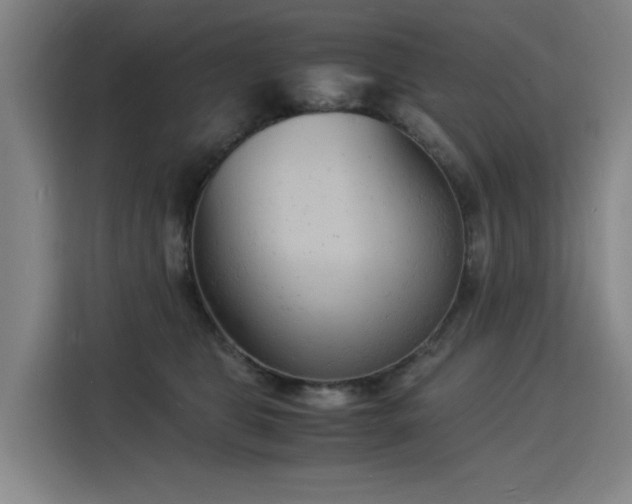 X0000115840469200911201556