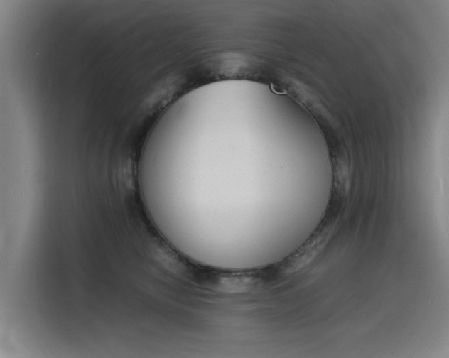 X0000115840470200911201556