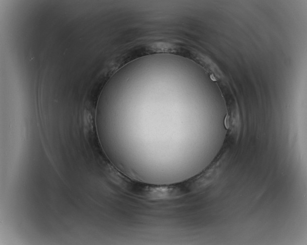 X0000115840473200911201556