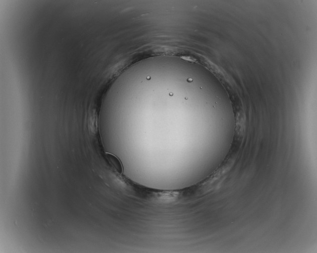 X0000115840474200911201556