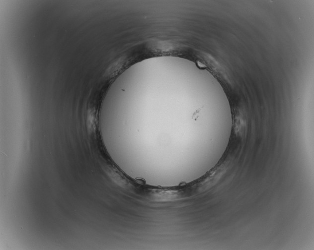 X0000115840476200911201556