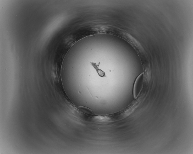 X0000115840477200911201556