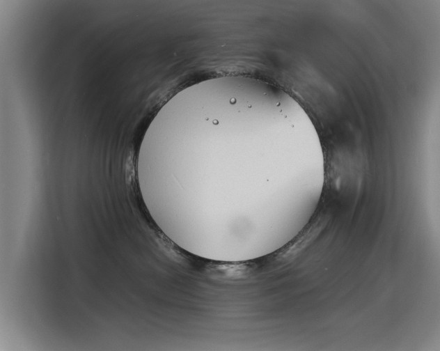 X0000115840478200911201556