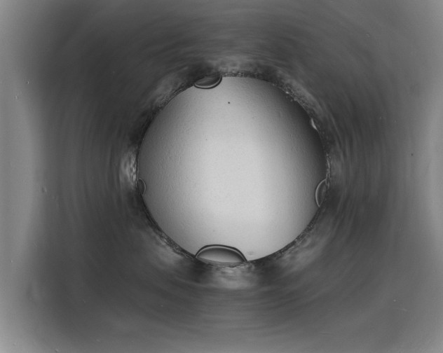 X0000115840479200911201556