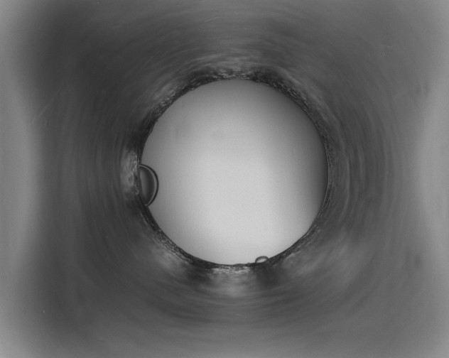 X0000115840480200911201556