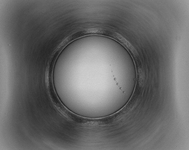 X0000115840482200911201556
