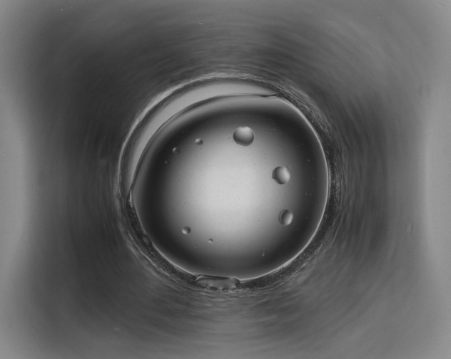 X0000115840484200911201556