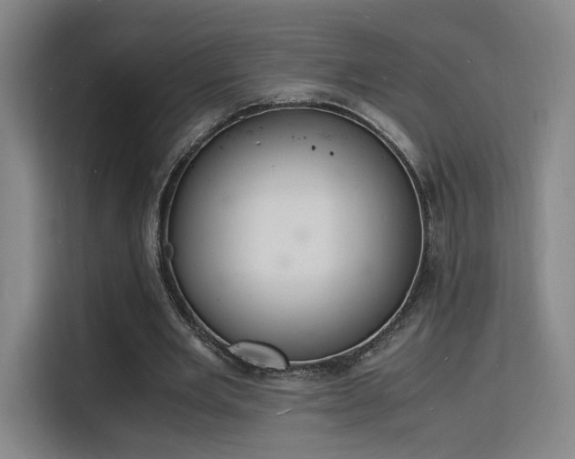 X0000115840485200911201556
