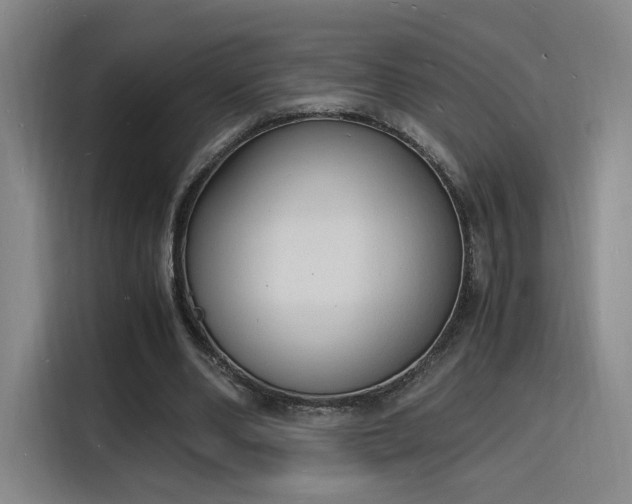 X0000115840486200911201556