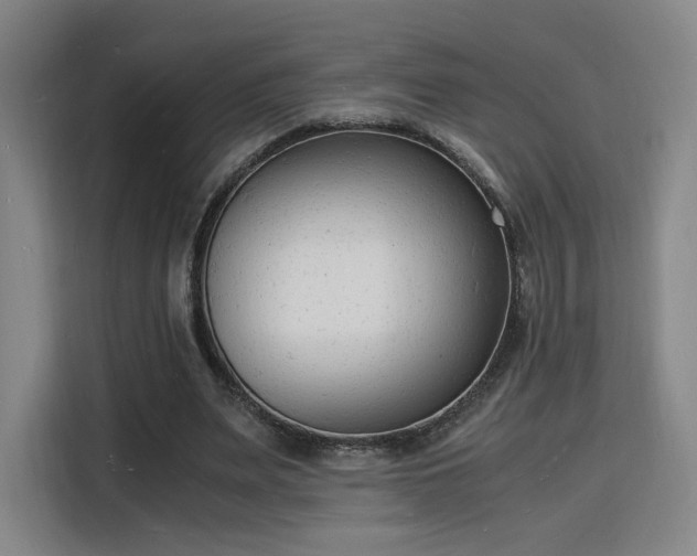 X0000115840487200911201556