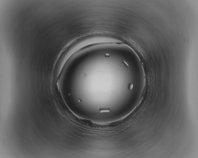 X0000115840488200911201556