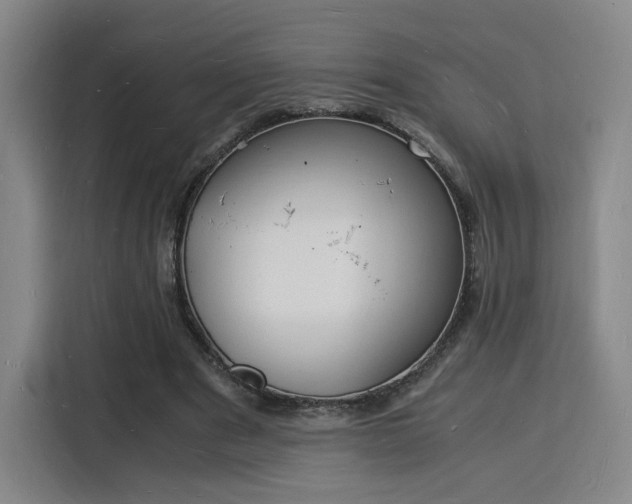 X0000115840489200911201555