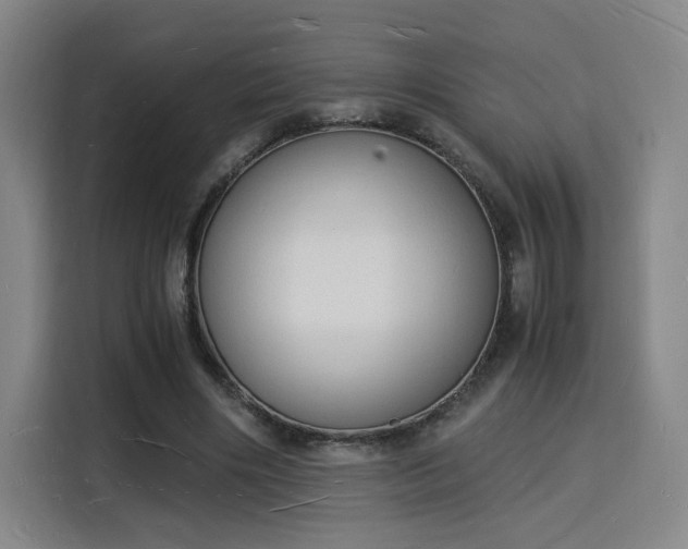 X0000115840490200911201555