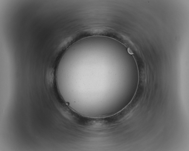 X0000115840495200911201555