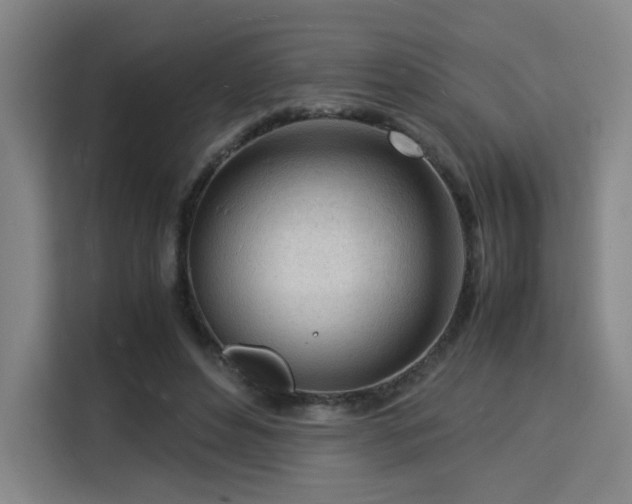 X0000115840496200911201555