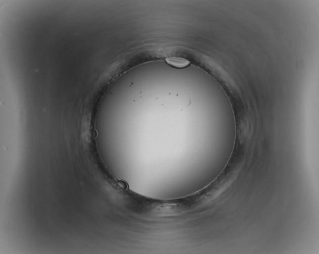 X0000115840497200911201555
