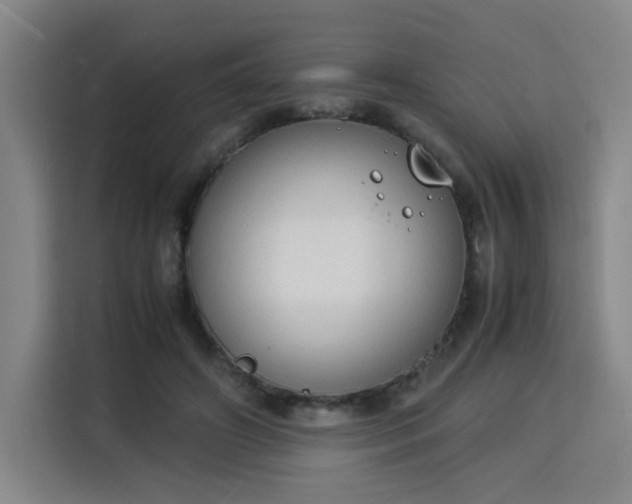X0000115840498200911201555