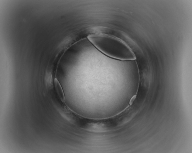 X0000115840500200911201555