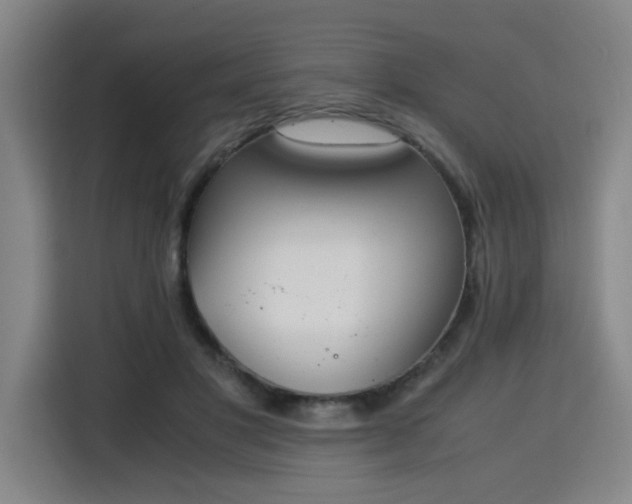 X0000115840501200911201555