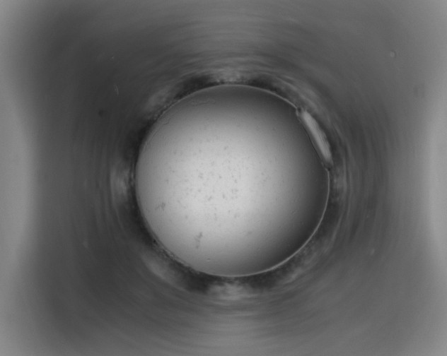 X0000115840503200911201555