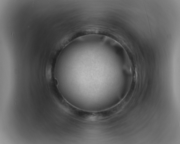 X0000115840504200911201555