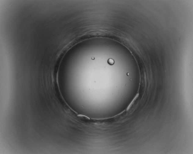X0000115840508200911201555