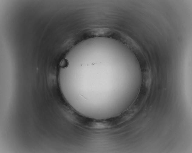 X0000115840510200911201555
