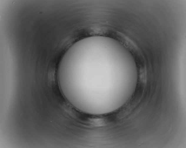 X0000115840514200911201555