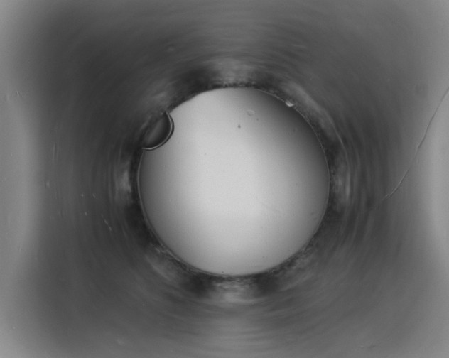 X0000115840516200911201555
