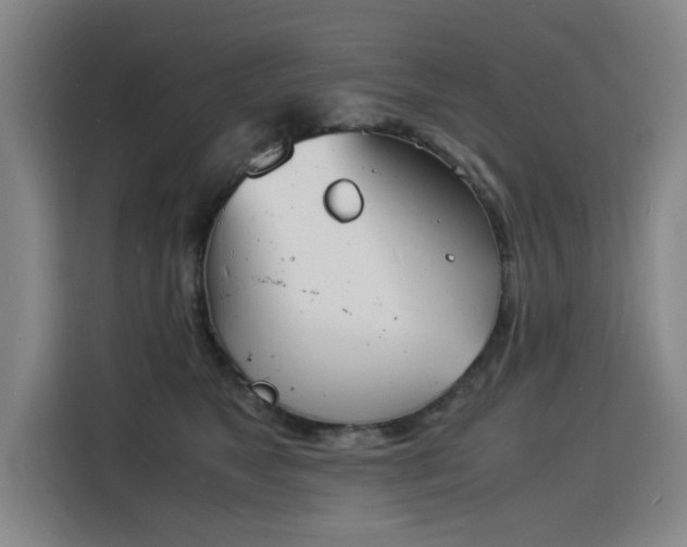 X0000115840517200911201555