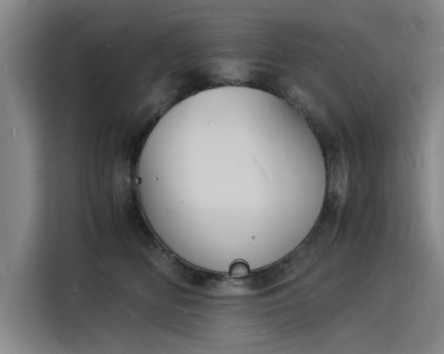 X0000115840518200911201555