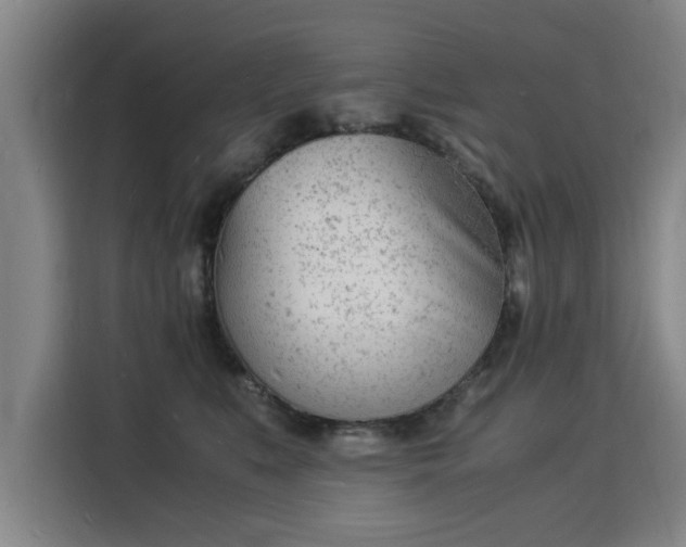 X0000115840519200911201555
