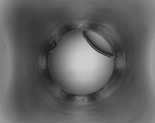 X0000115840520200911201555