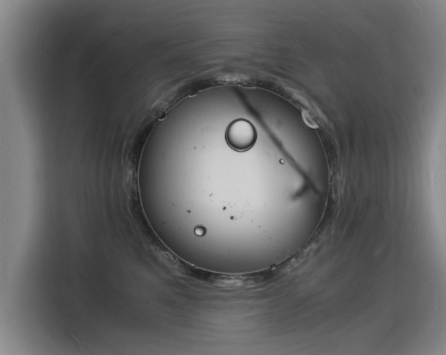 X0000115840521200911201555