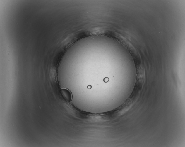 X0000115840523200911201555