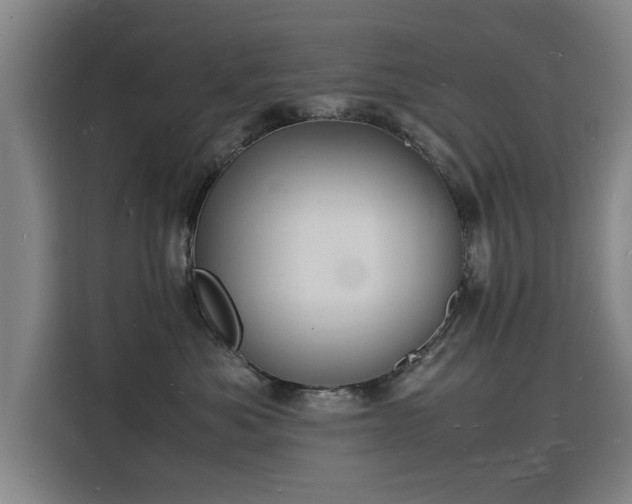 X0000115840525200911201555