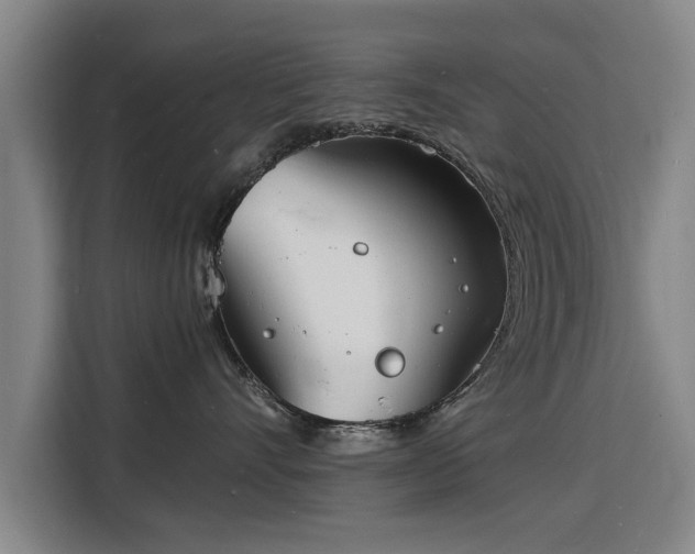 X0000115840528200911201555