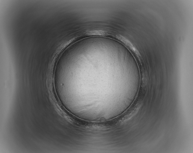 X0000115840529200911201554