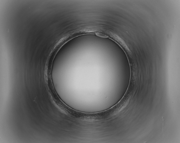 X0000115840530200911201554