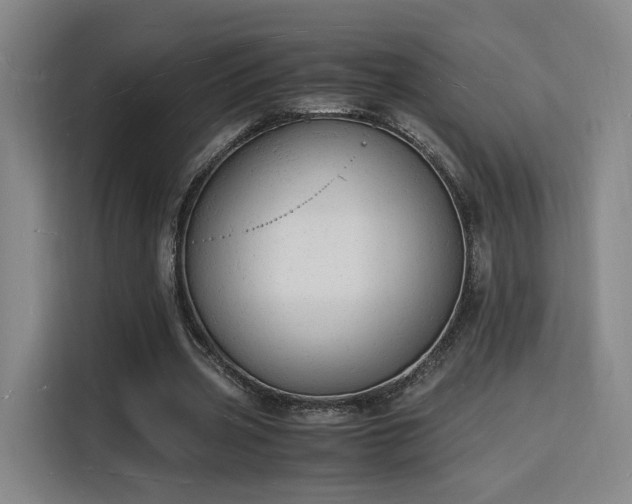 X0000115840533200911201554