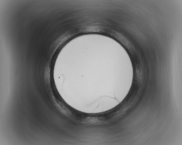 X0000115840534200911201554