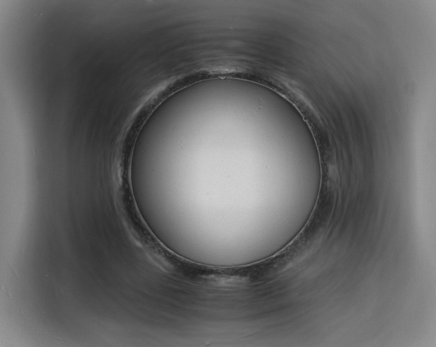 X0000115840539200911201554