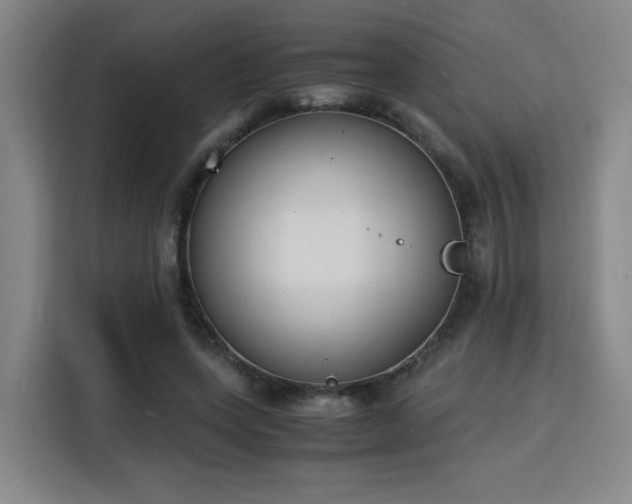 X0000115840543200911201555