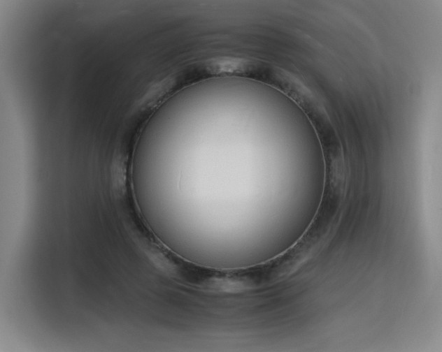 X0000115840545200911201555