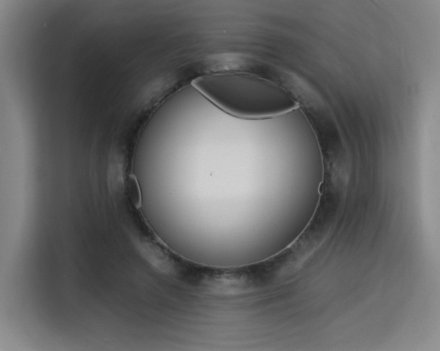 X0000115840546200911201555