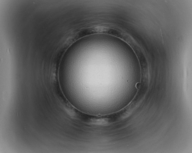 X0000115840553200911201555