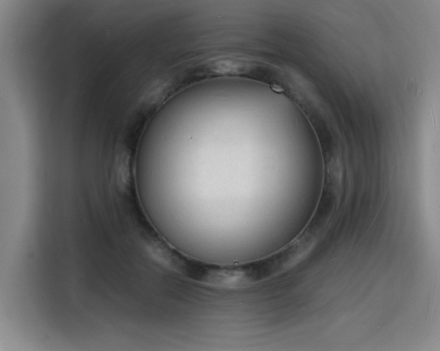 X0000115840554200911201555