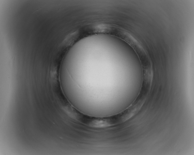 X0000115840557200911201555