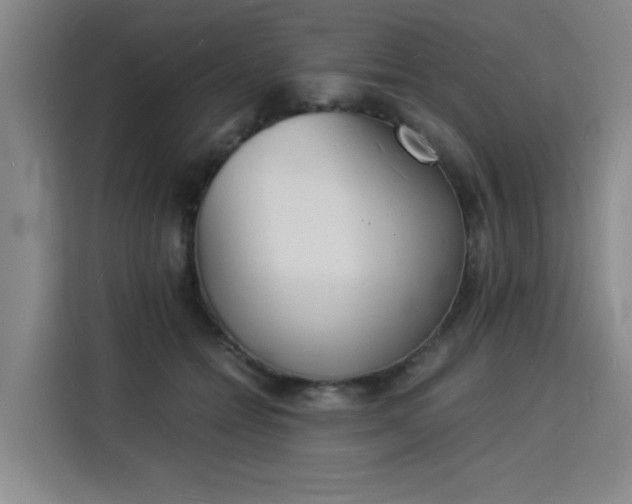 X0000115840558200911201555