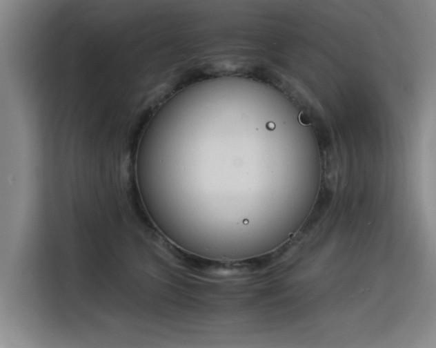 X0000115840563200911201555